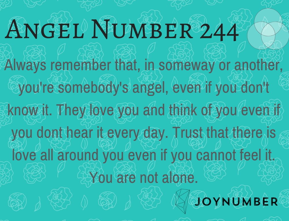 244 angel number love