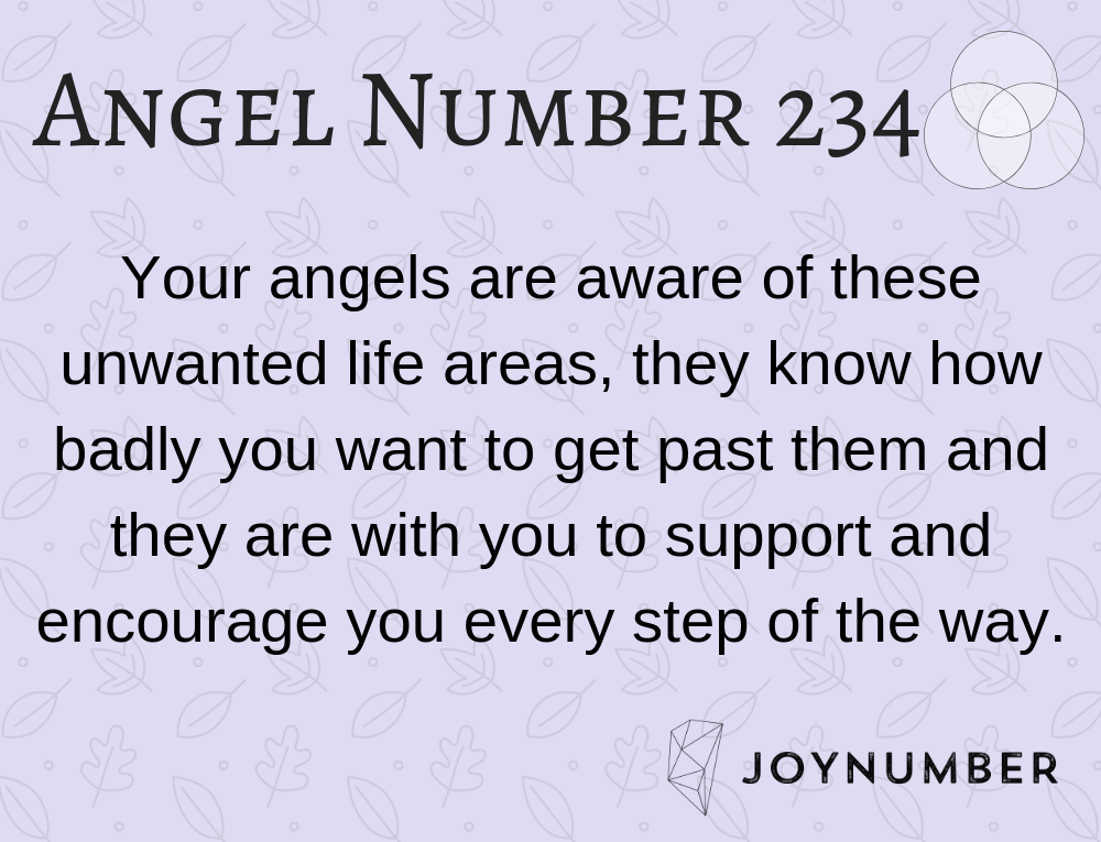Seeing angel 234 number