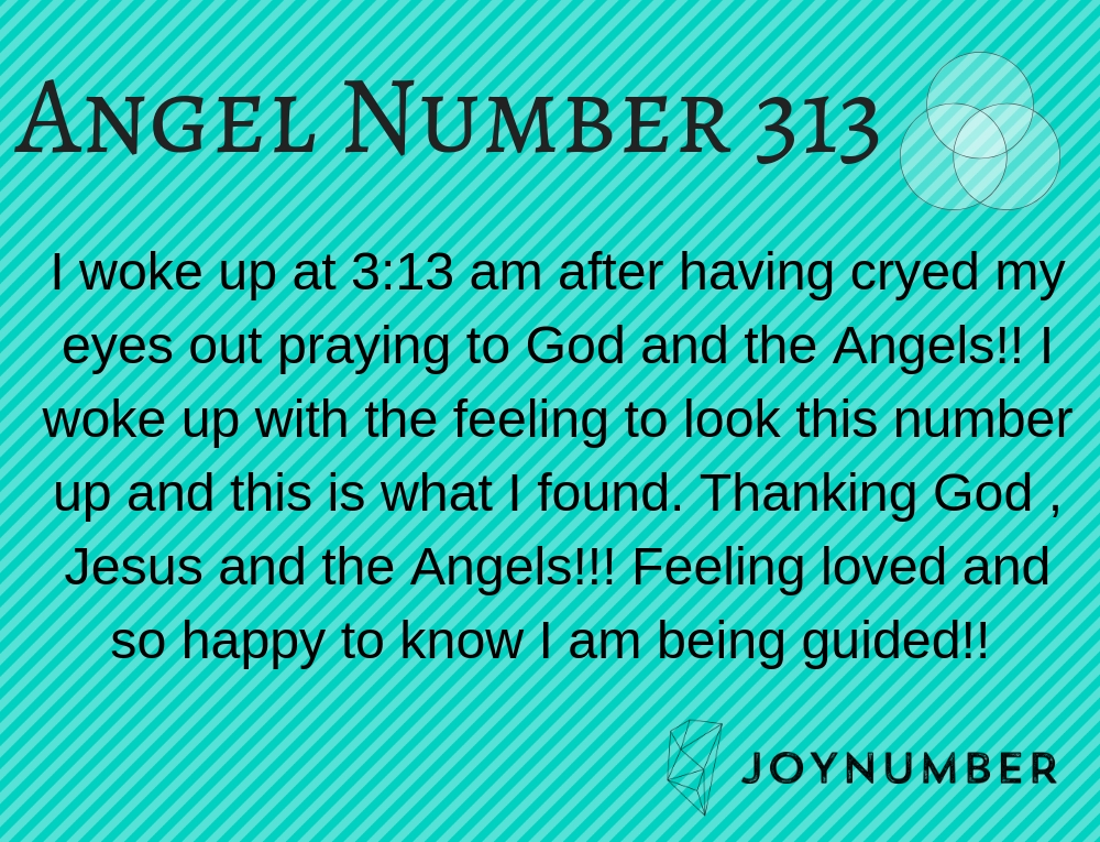 Angel number 313 twin flame