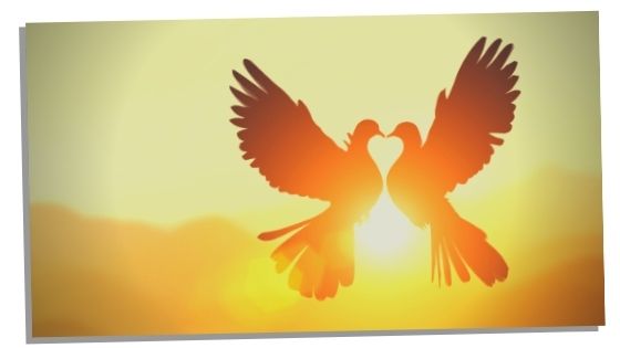 505 Numerology Meaning Of Love With Two Birds 