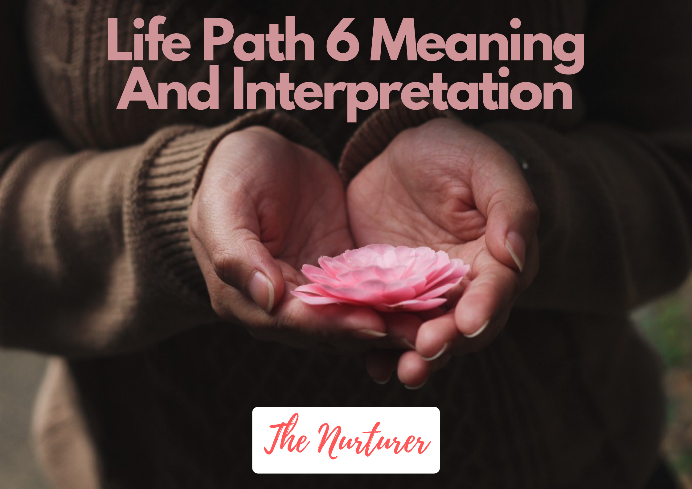A woman holding a pink flower with words Life Path 6 Meaning And Interpretation The Nurturer