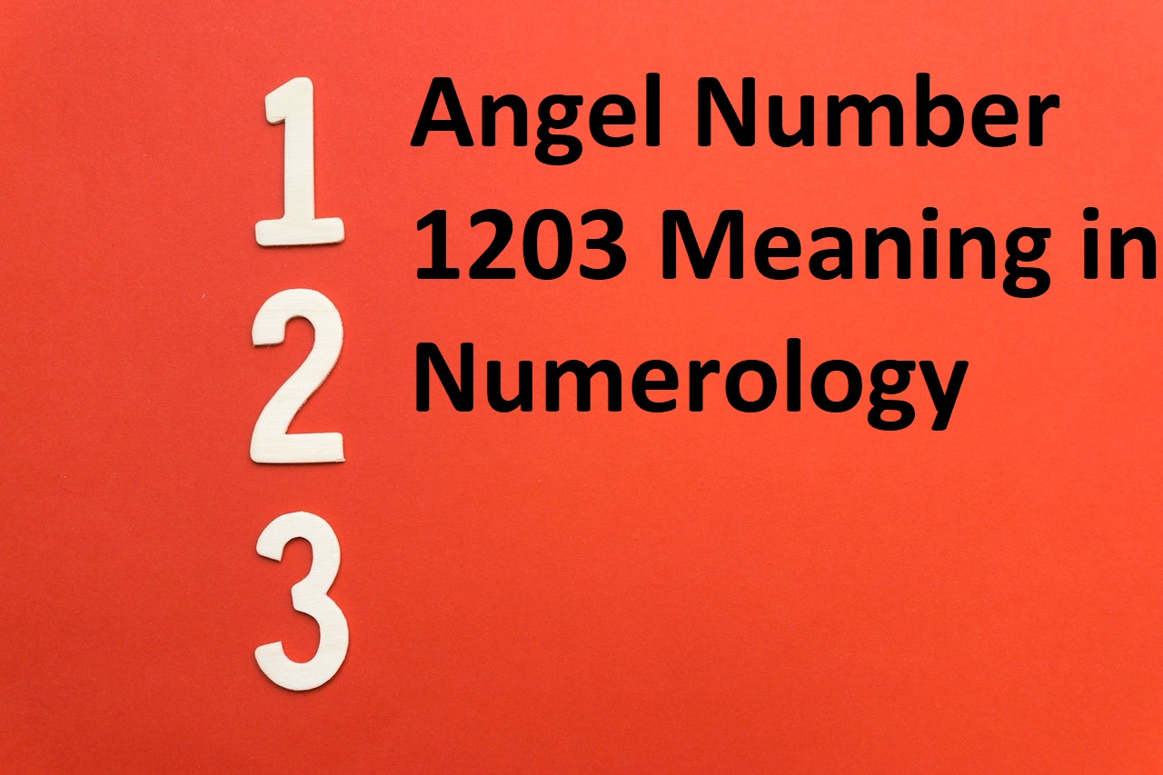 A Numberology Numbers