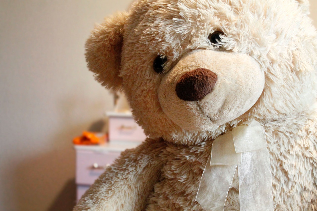 Brown Bear Plush Toy.jpg