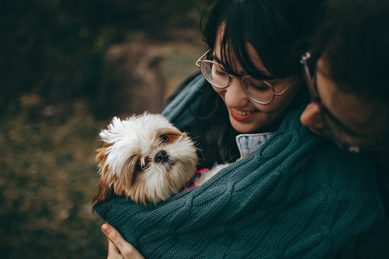 White and Tan Shih Tzu Puppy Carrying by Smiling Woman