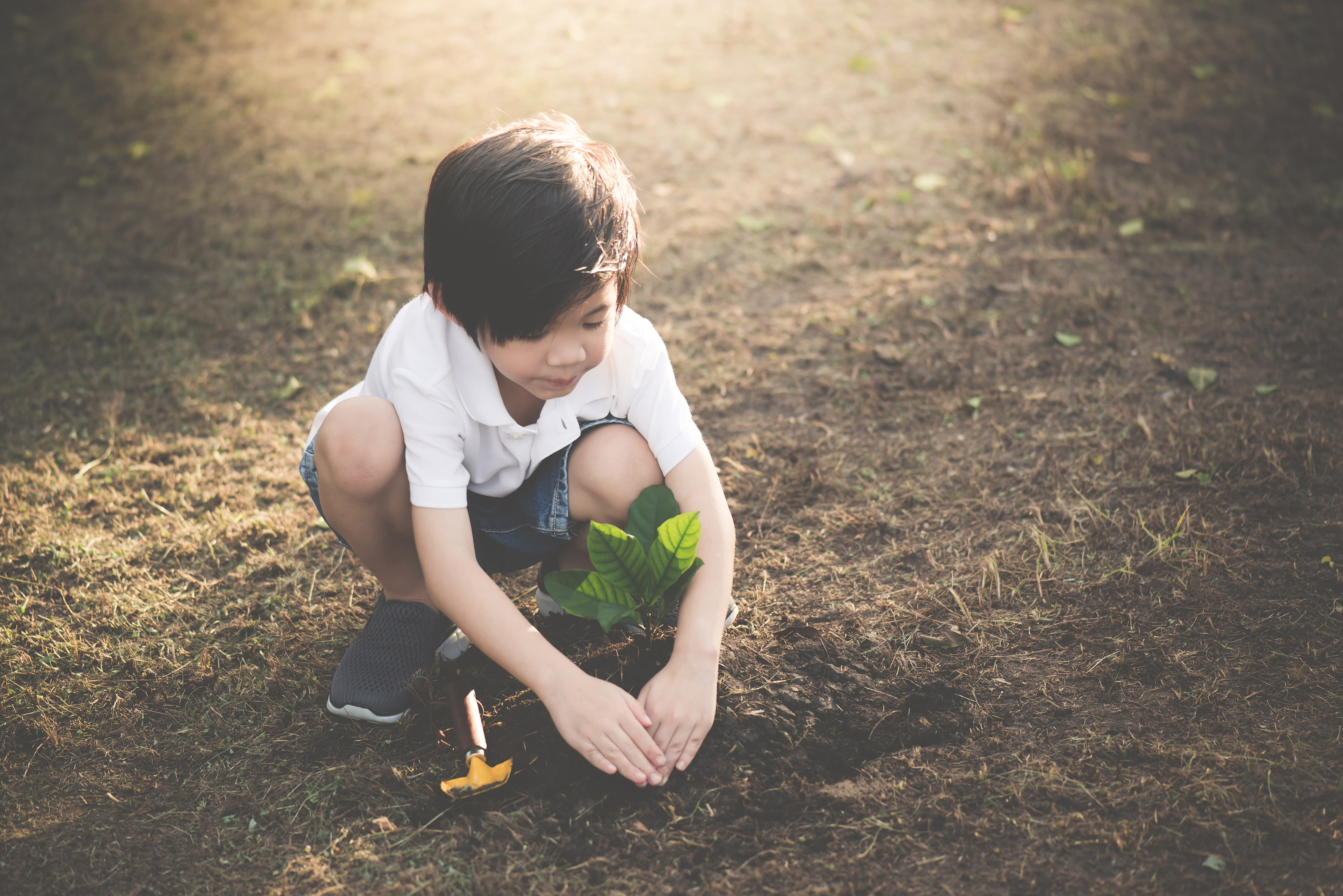 Boy sitting in mud and planting tree