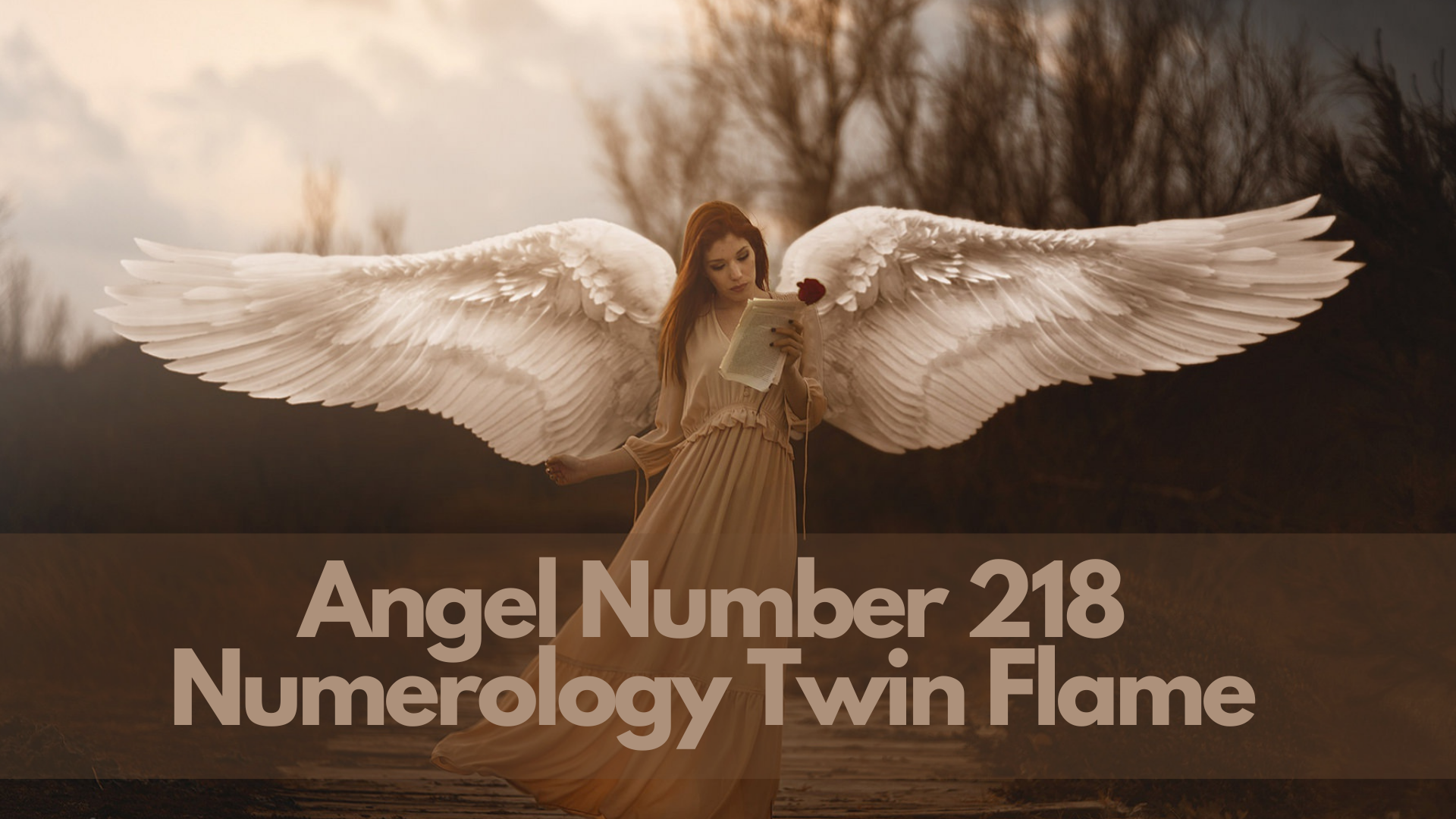An angel holding a rose while reading with words Angel Number 218 Numerology Twin Flame