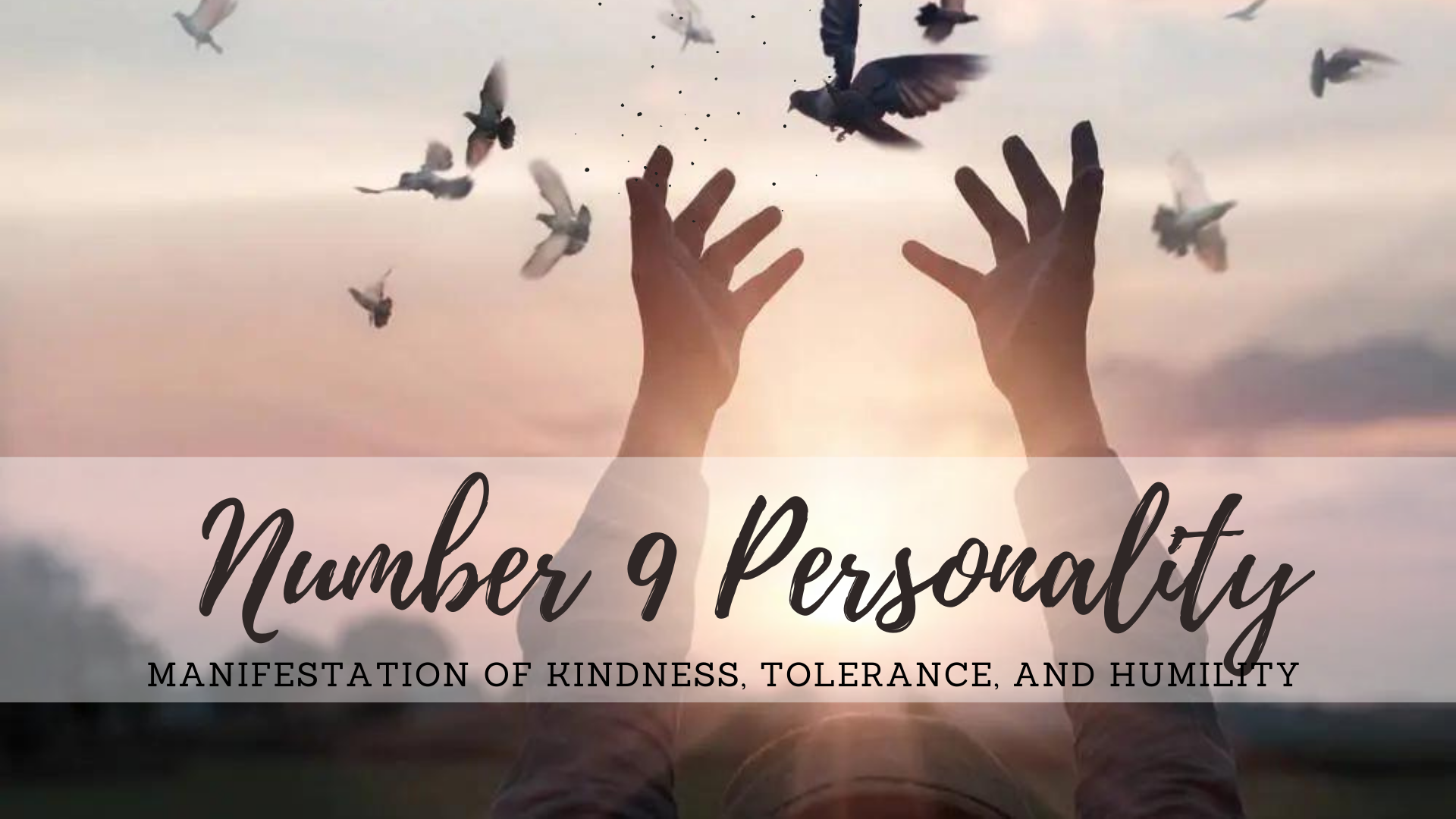 Number 9 Personality - Manifestation Of Kindness, Tolerance, And Humility
