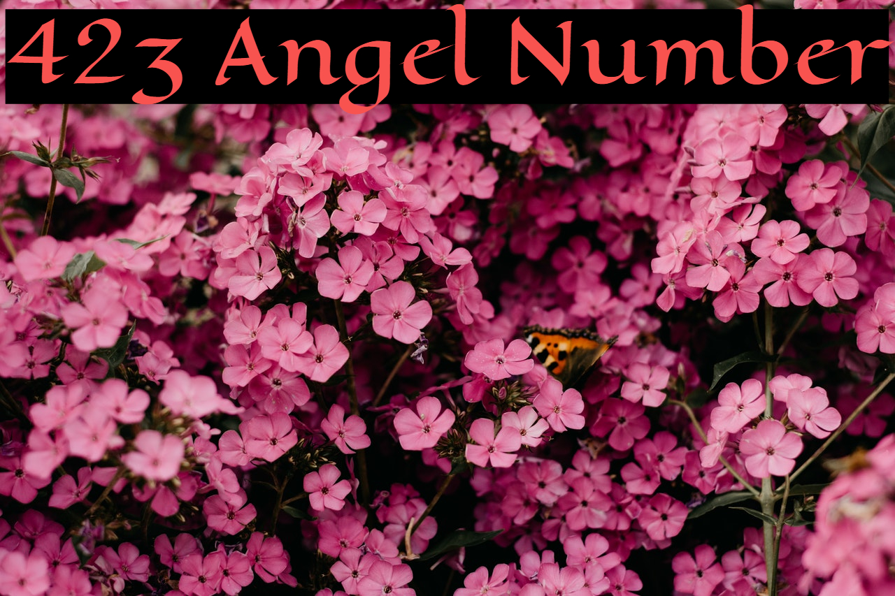 423 Angel Number Relates To The Field Of Relationships