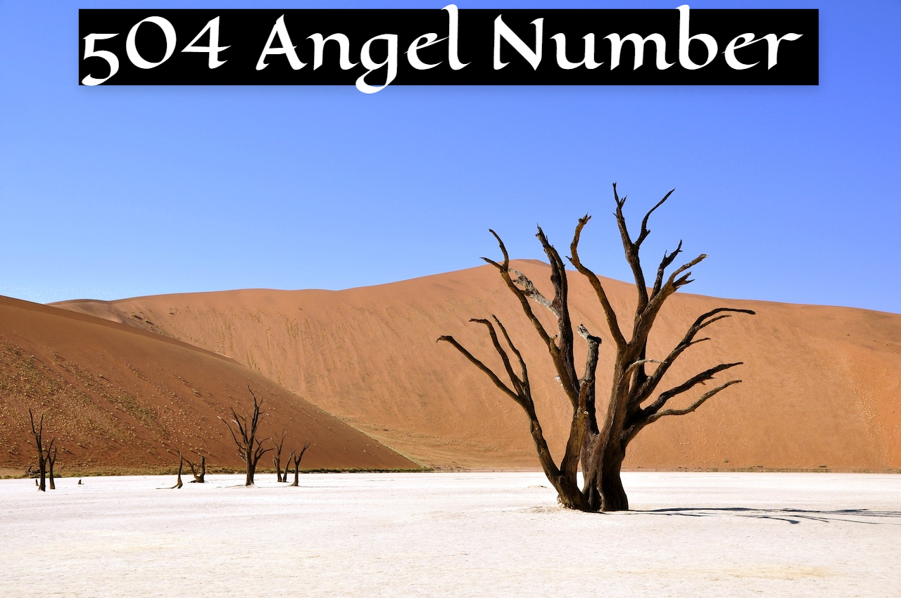 504 Angel Number - Angels Advices Over The Changes In Your Life