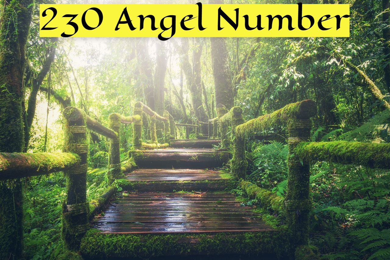 230 Angel Number Symbolizes Optimistic Attitude, Creativity, And Strength