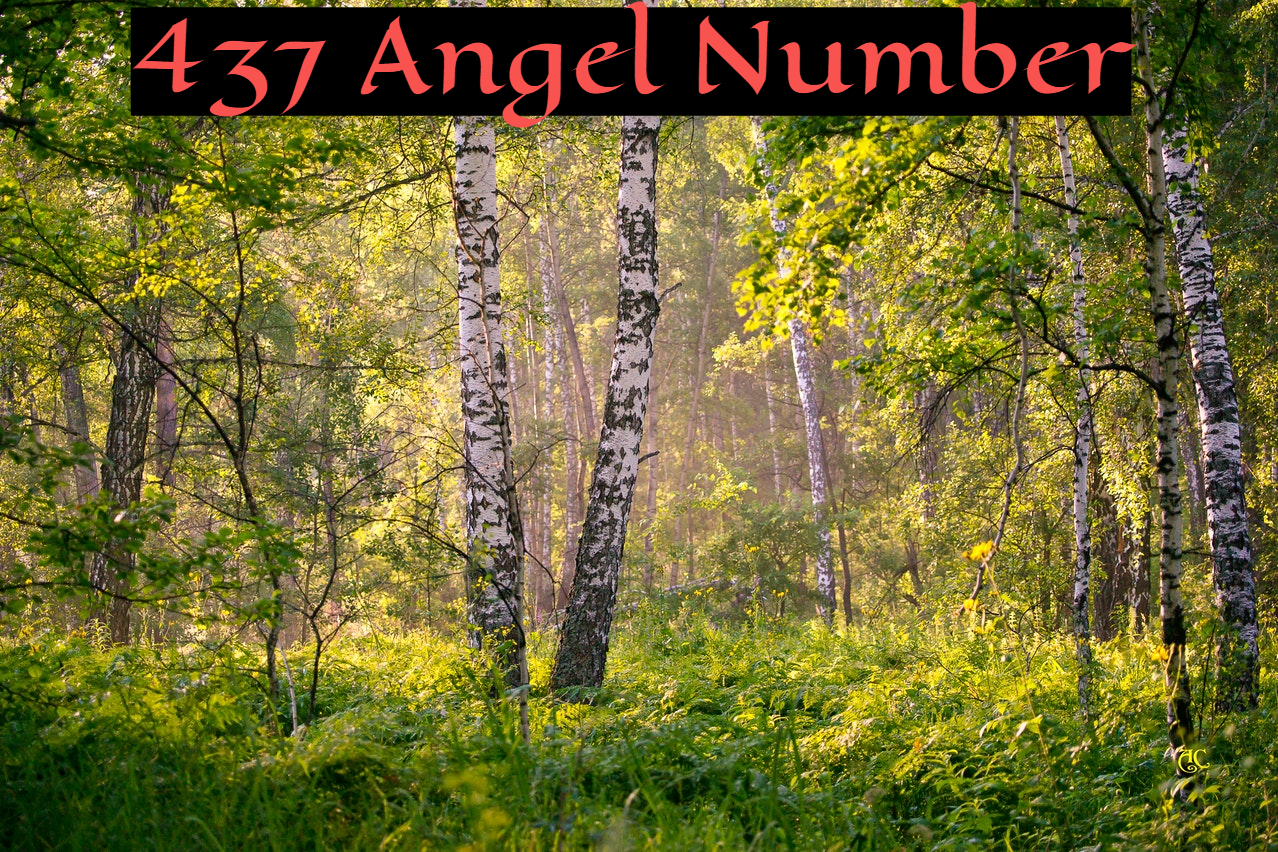 437 Angel Number Is A Blend Of The Energies