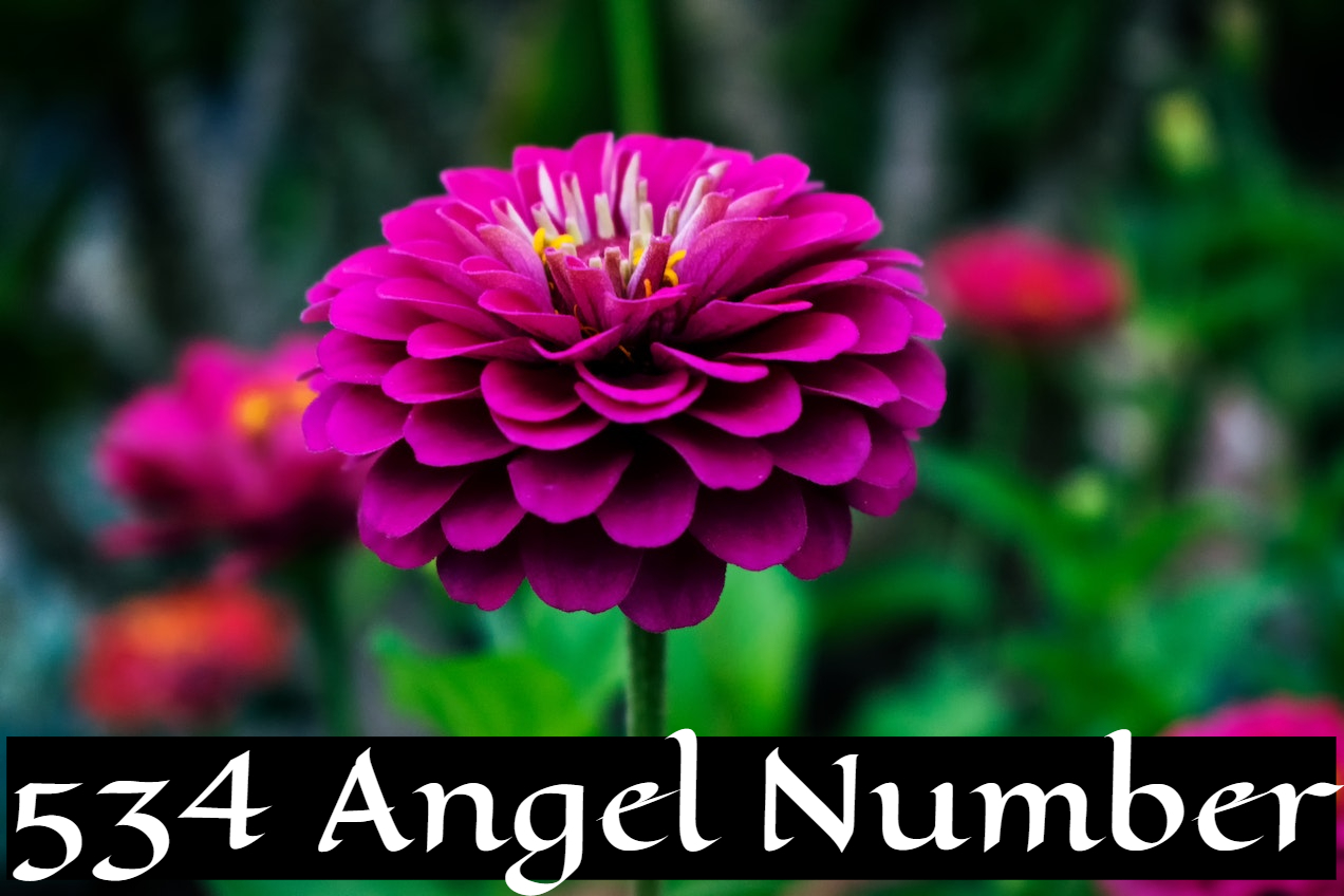 534 Angel Number - The Ability To Embrace Change