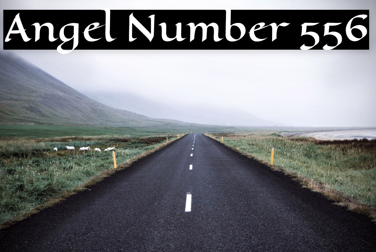 Angel Number 556 - A Cue From The Divine Forces