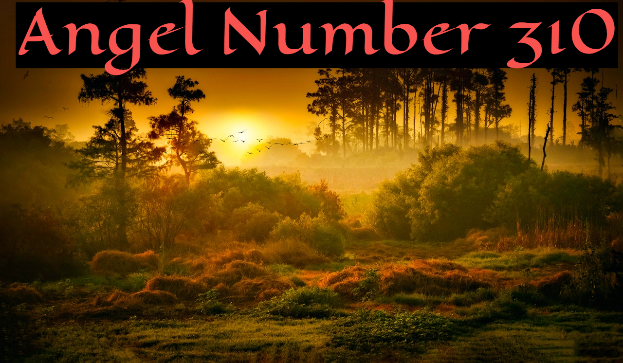 Angel Number 310 Is The Number Of Optimism, Enthusiasm And Communication