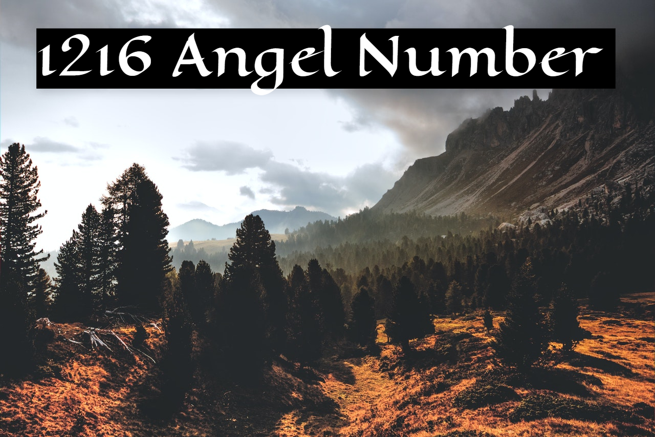 1216 Angel Number Meaning - Maintain A Forward Gaze