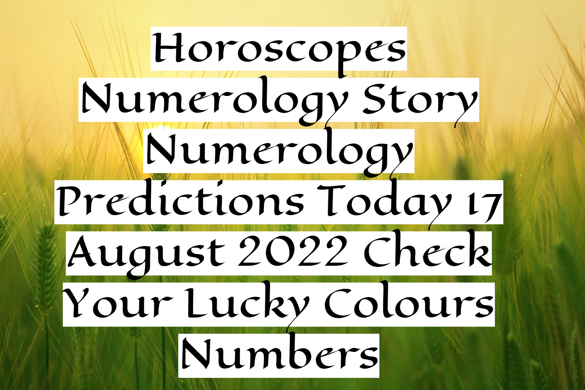 Horoscopes Numerology Story Numerology Predictions Today 17 August 2022 Check Your Lucky Colours Numbers