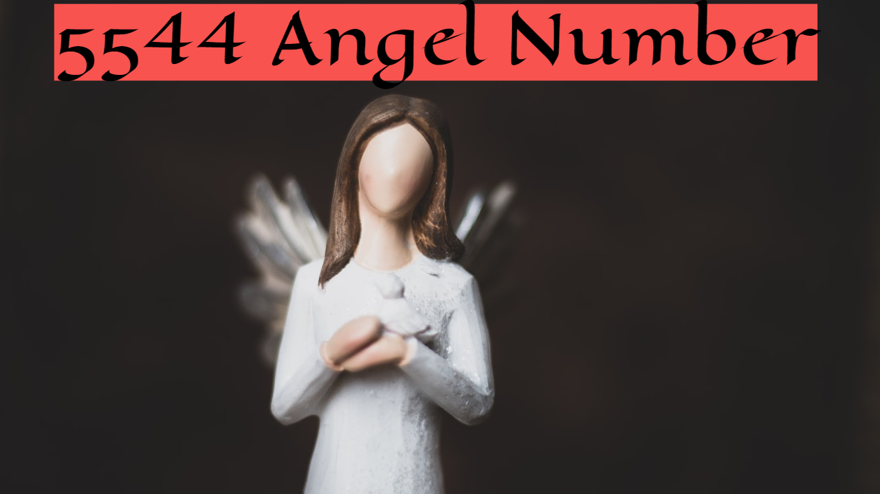 5544 Angel Number Indicates Support And Accompany