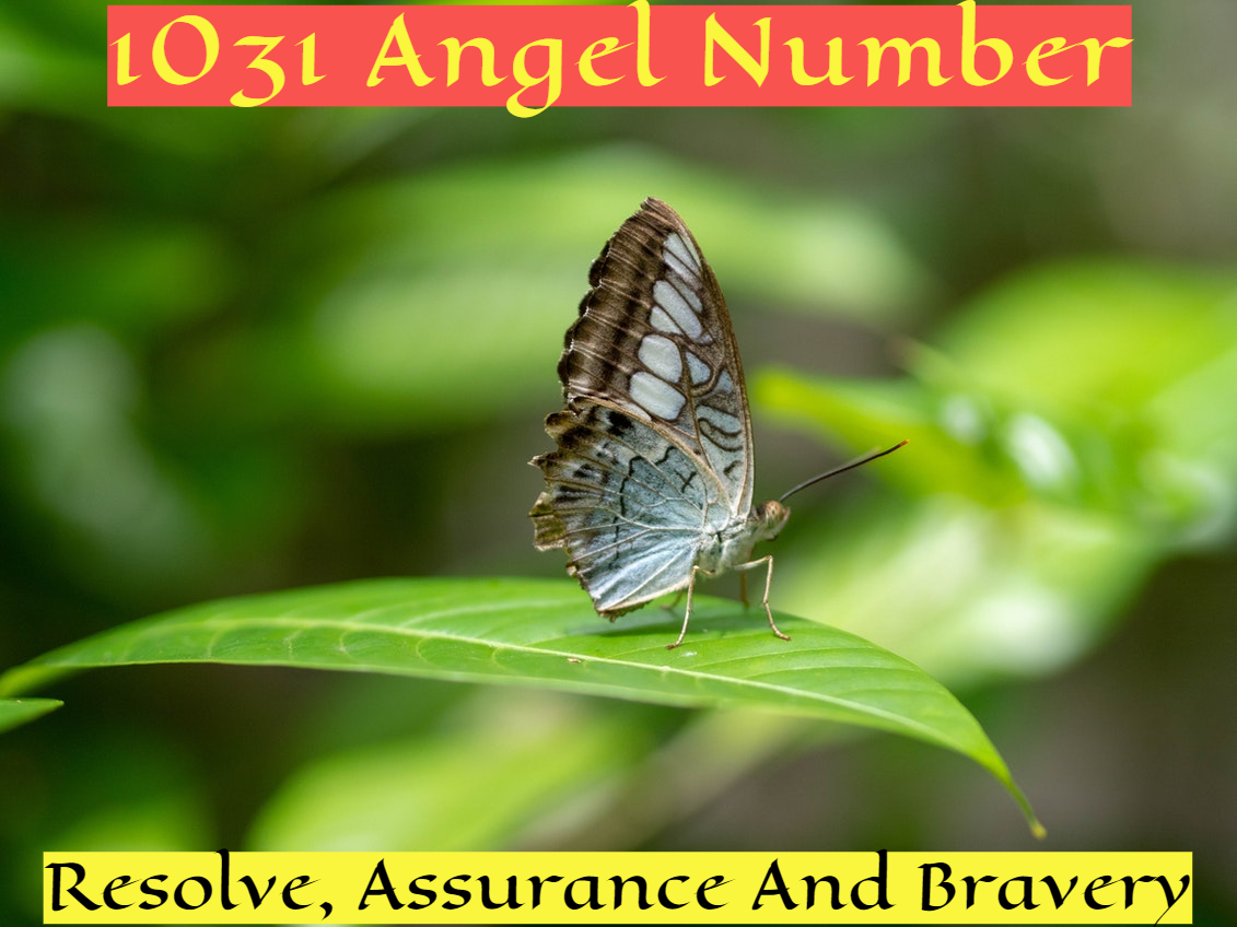 1031 Angel Number Symbolizes Optimism And Elevated Thoughts