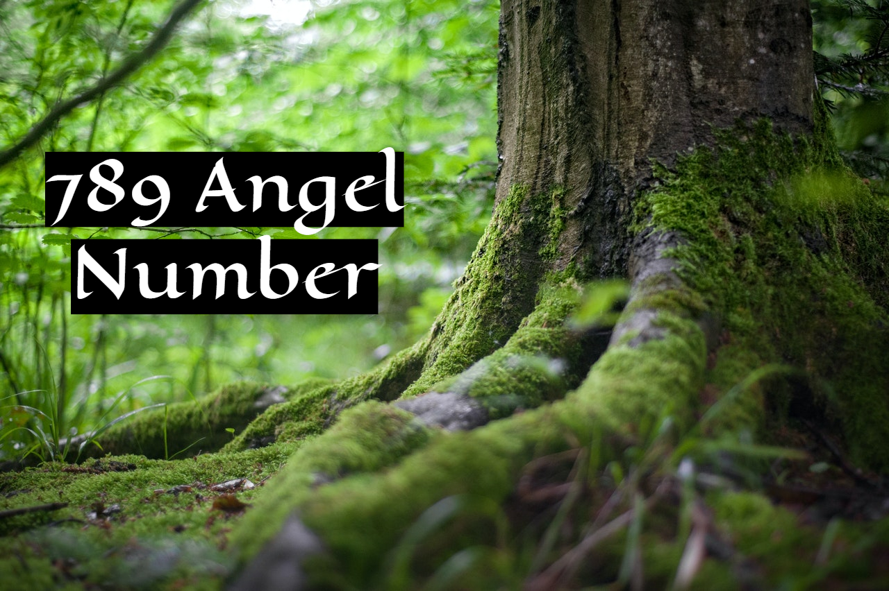 789 Angel Number - A Sign Of Focusing On Your True Purpose