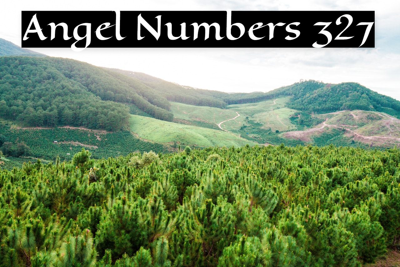Angel Numbers 327 Consists Of The Energies, Vibrations, Attributes, And Traits