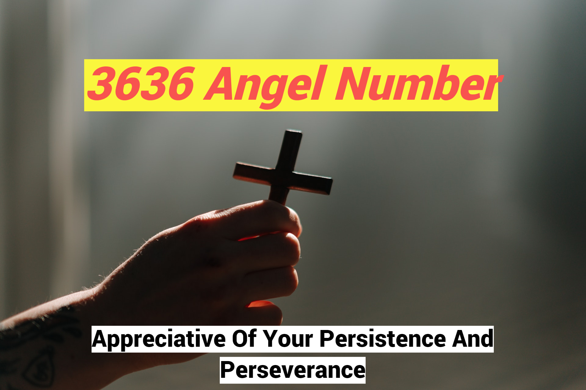 3636 Angel Number Indication Of Happy, Accessible, And Peaceful Life