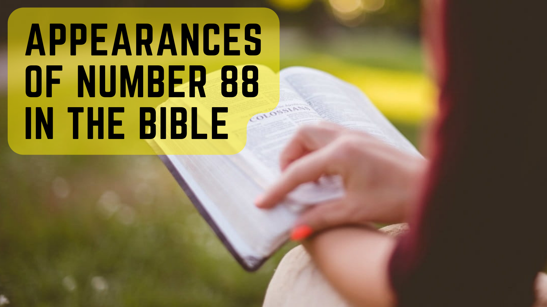 A person reading a Bible with words Appearances Of Number 88 In The Bible