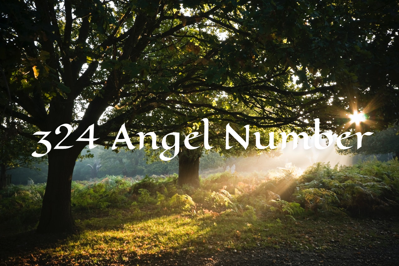 324 Angel Number - The Importance Of Engaging