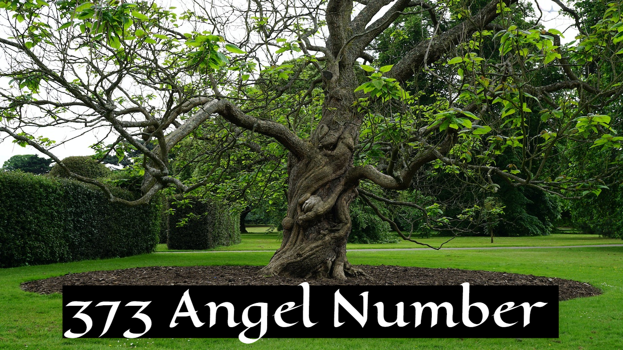 373 Angel Number Meaning - Keep Moving Forward