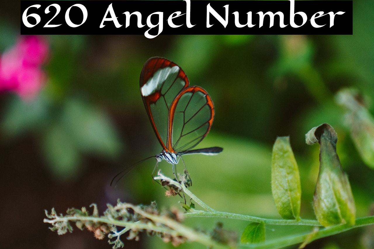 620 Angel Number Symbolizes Your True Life