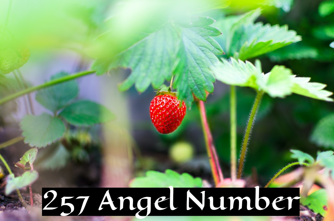 257 Angel Number Representation - Effects On Your Life