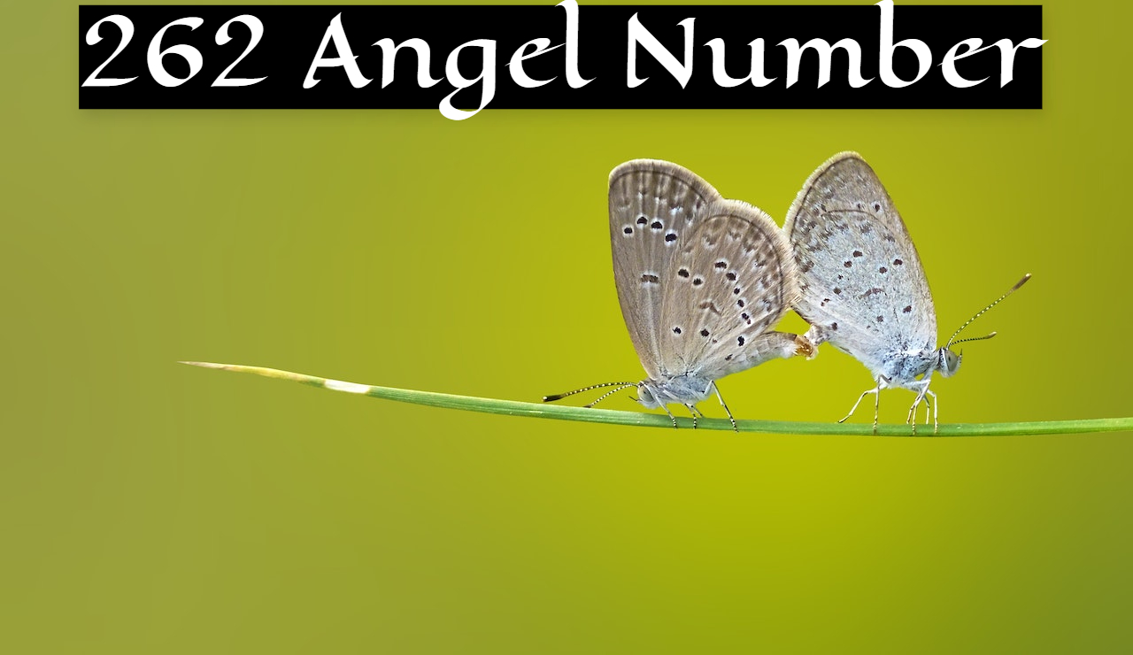 262 Angel Number Meaning And Symbolism