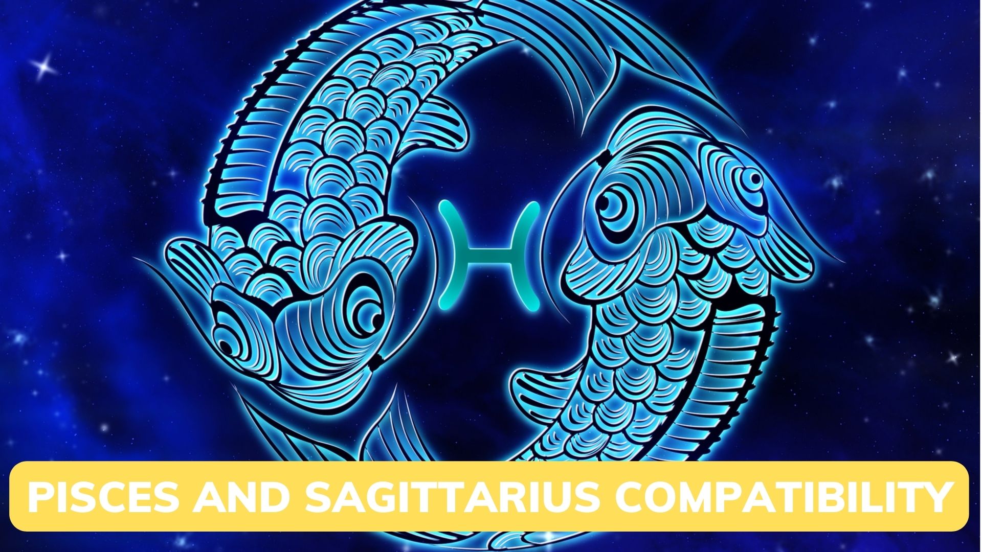 Pisces And Sagittarius Compatibility In Relationships, Marriage, And Sexuality