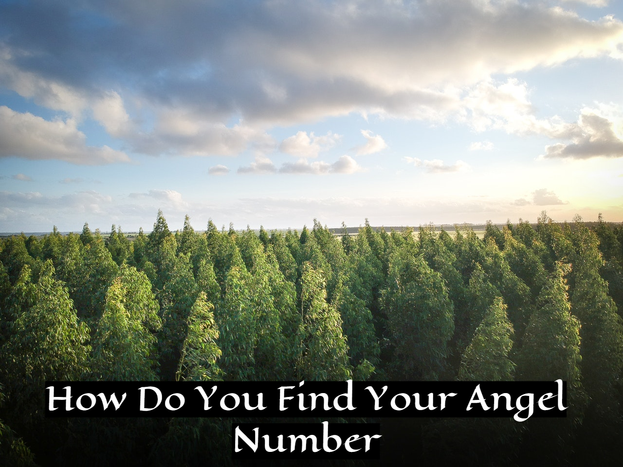 How Do You Find Your Angel Number?