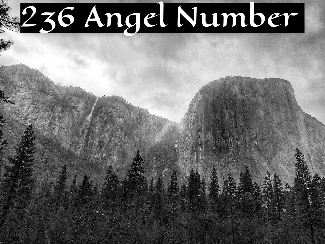 236 Angel Number Signifies Getting Rid Of Negativity
