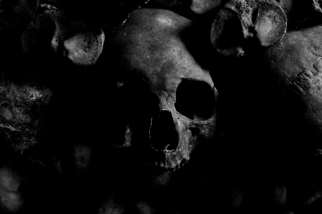Close-up of Skull