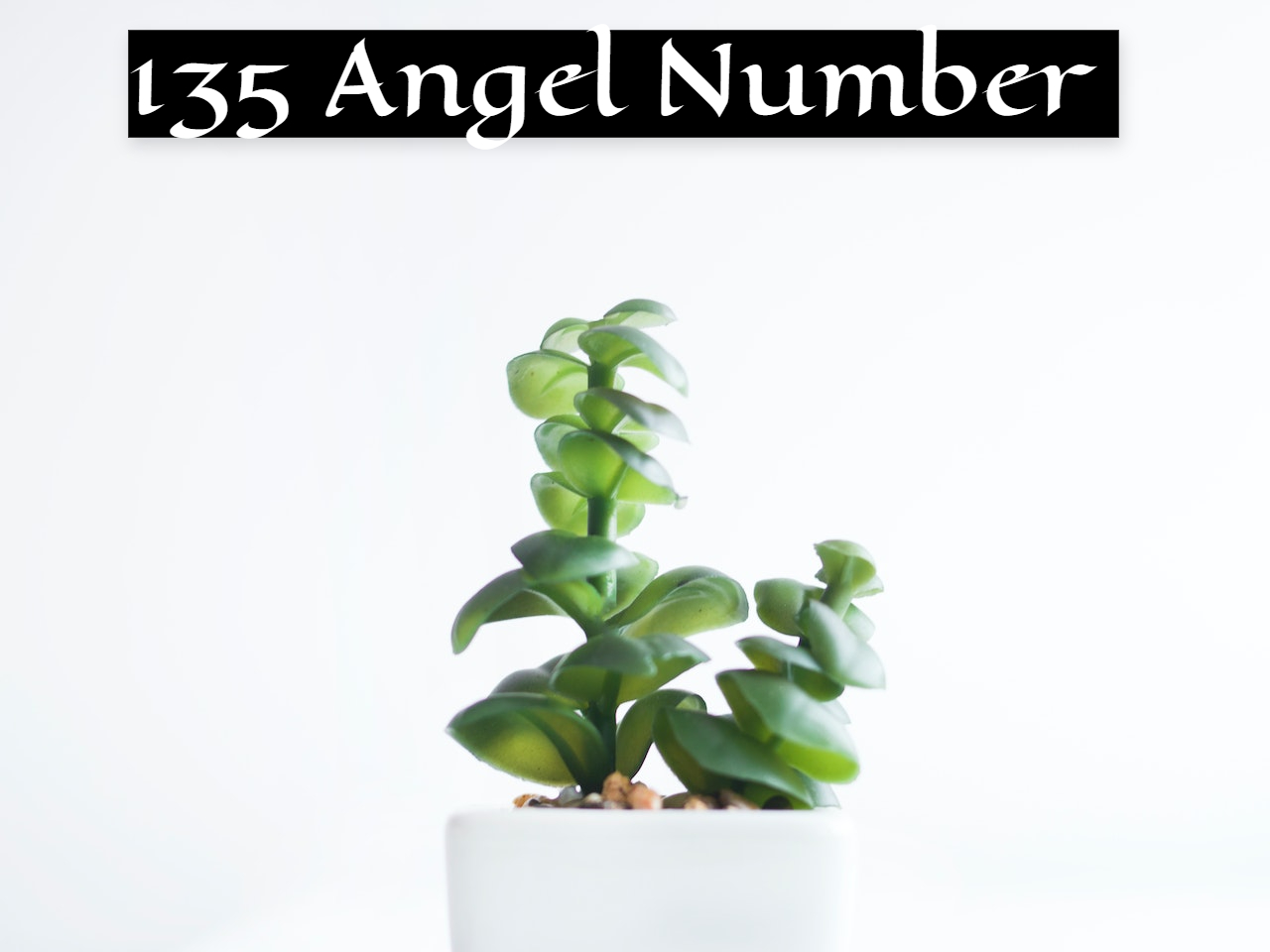 135 Angel Number - A Luckiest Number
