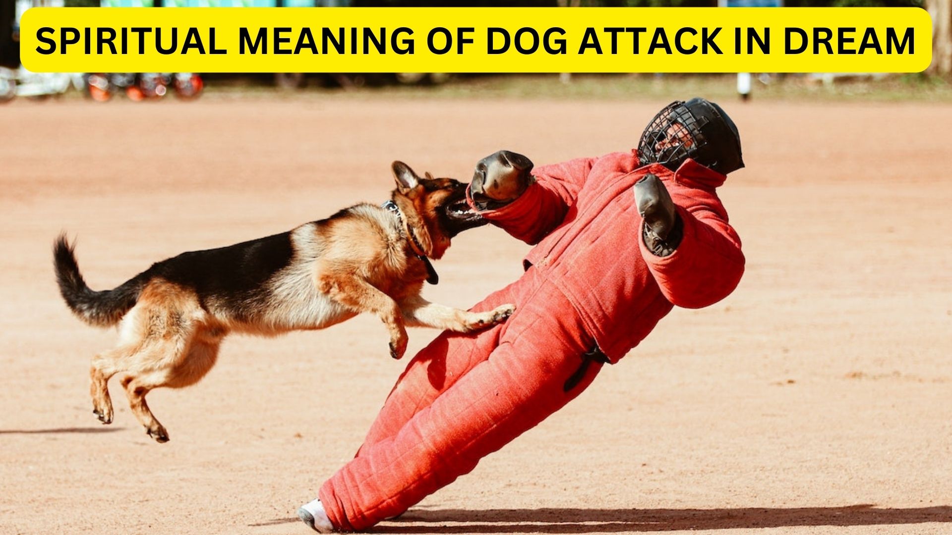 Spiritual Meaning Of Dog Attack In Dream - Fear And Confusion