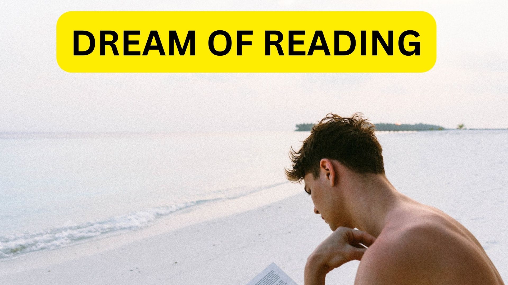 Dream Of Reading - It Symbolizes Preparation Before You Make A Big Decision