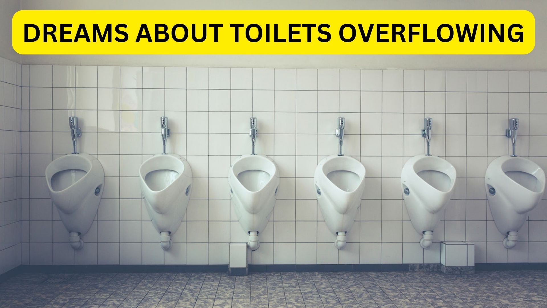 Dreams About Toilets Overflowing - A Sign Of Declining Metabolic Function