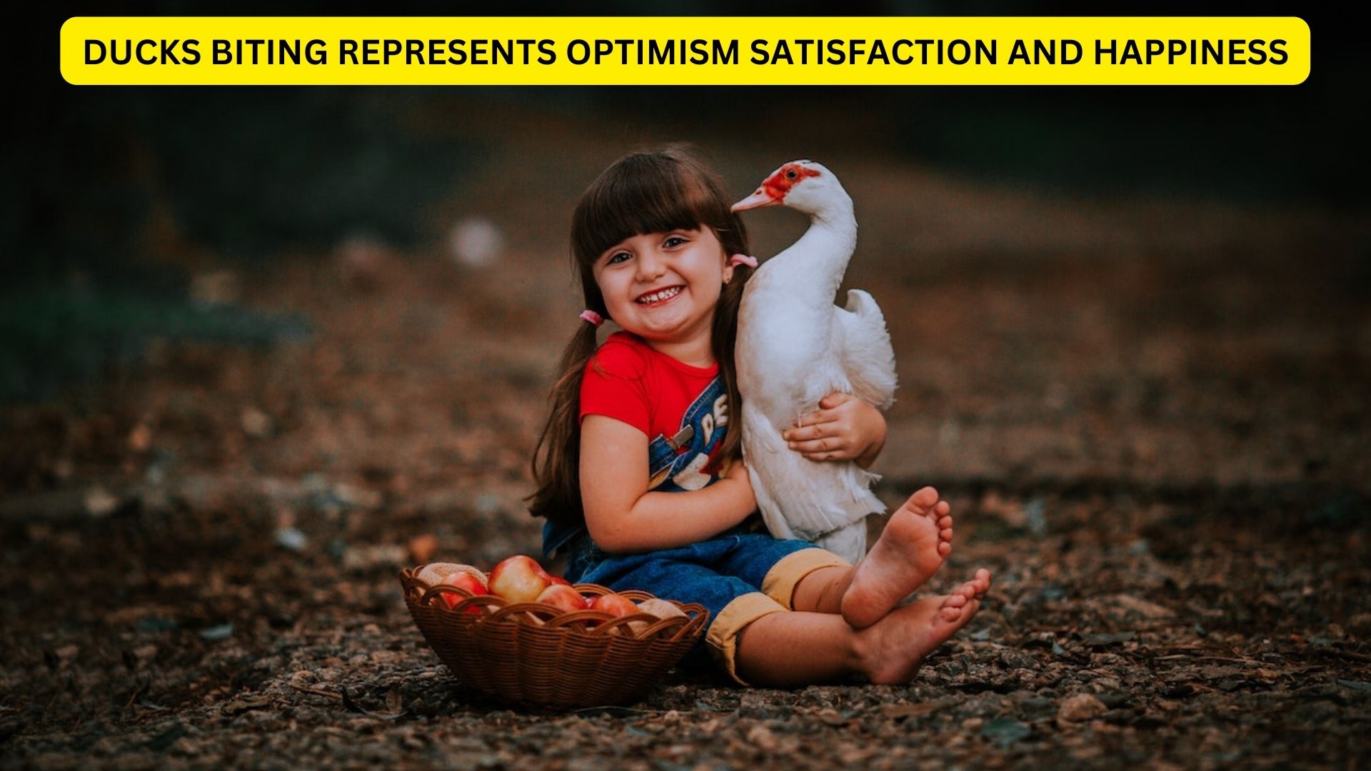 Ducks Biting Representation - Optimism, Satisfaction, And Happiness