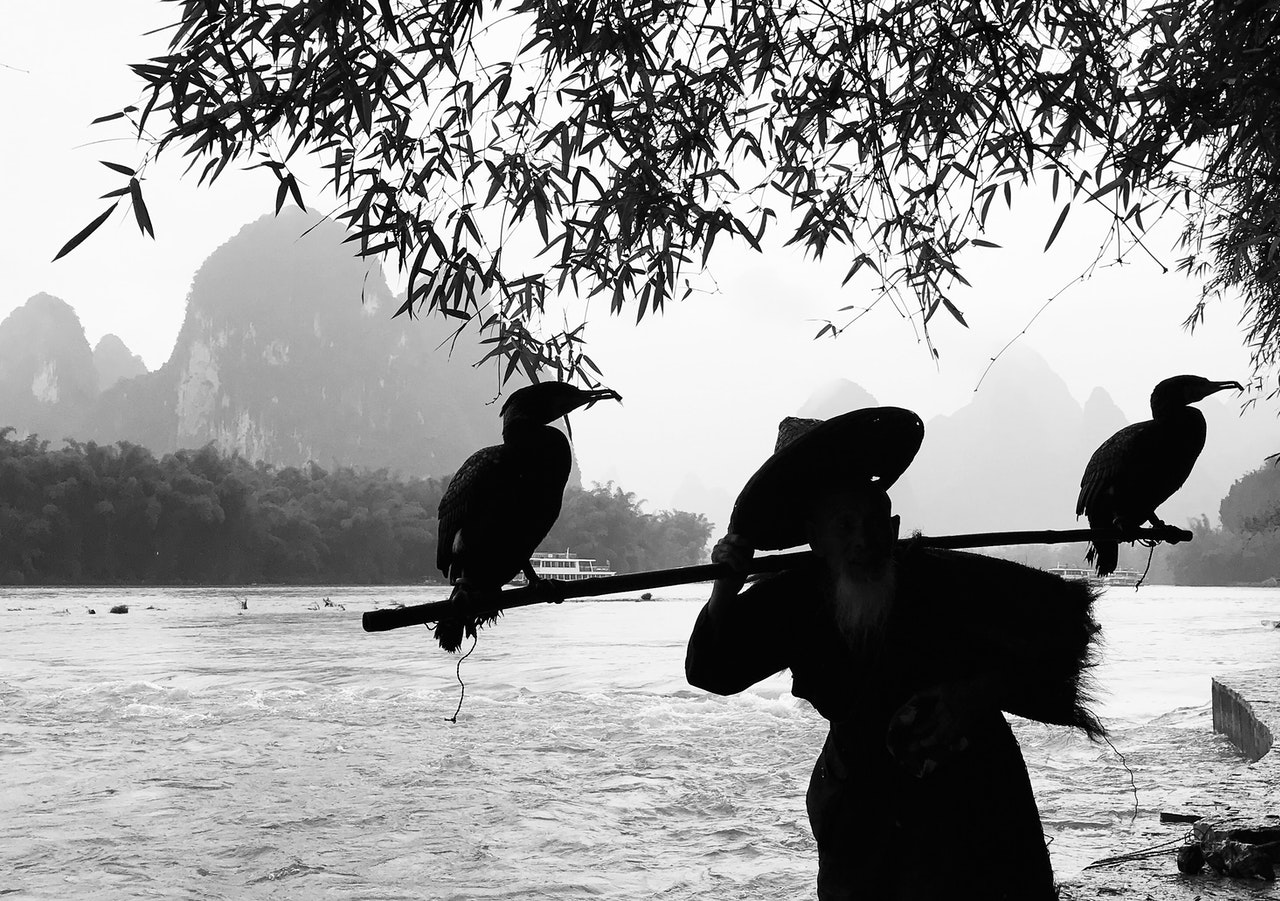 Person holding stick with two birds perching on it.jpg