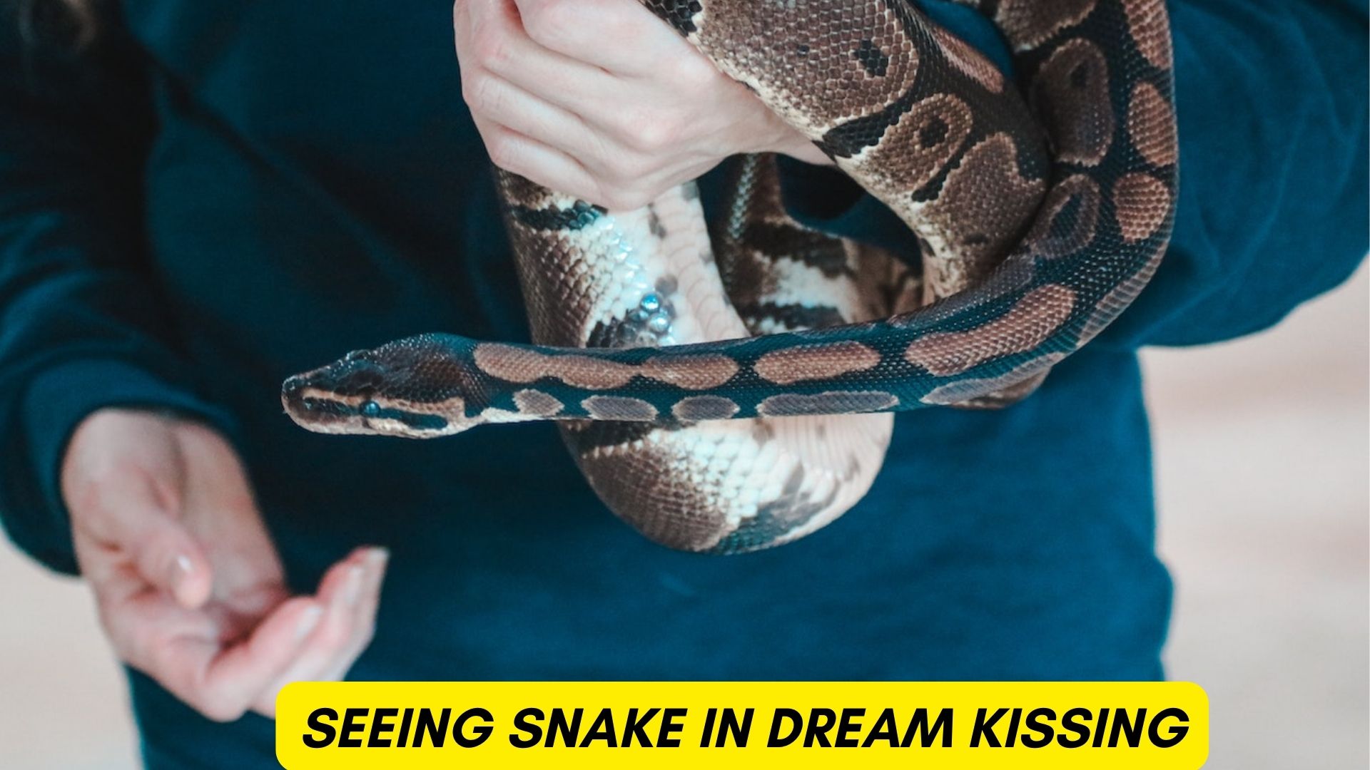 Seeing Snake In Dream Kissing - It Symbolizes Loyalty And Fidelity