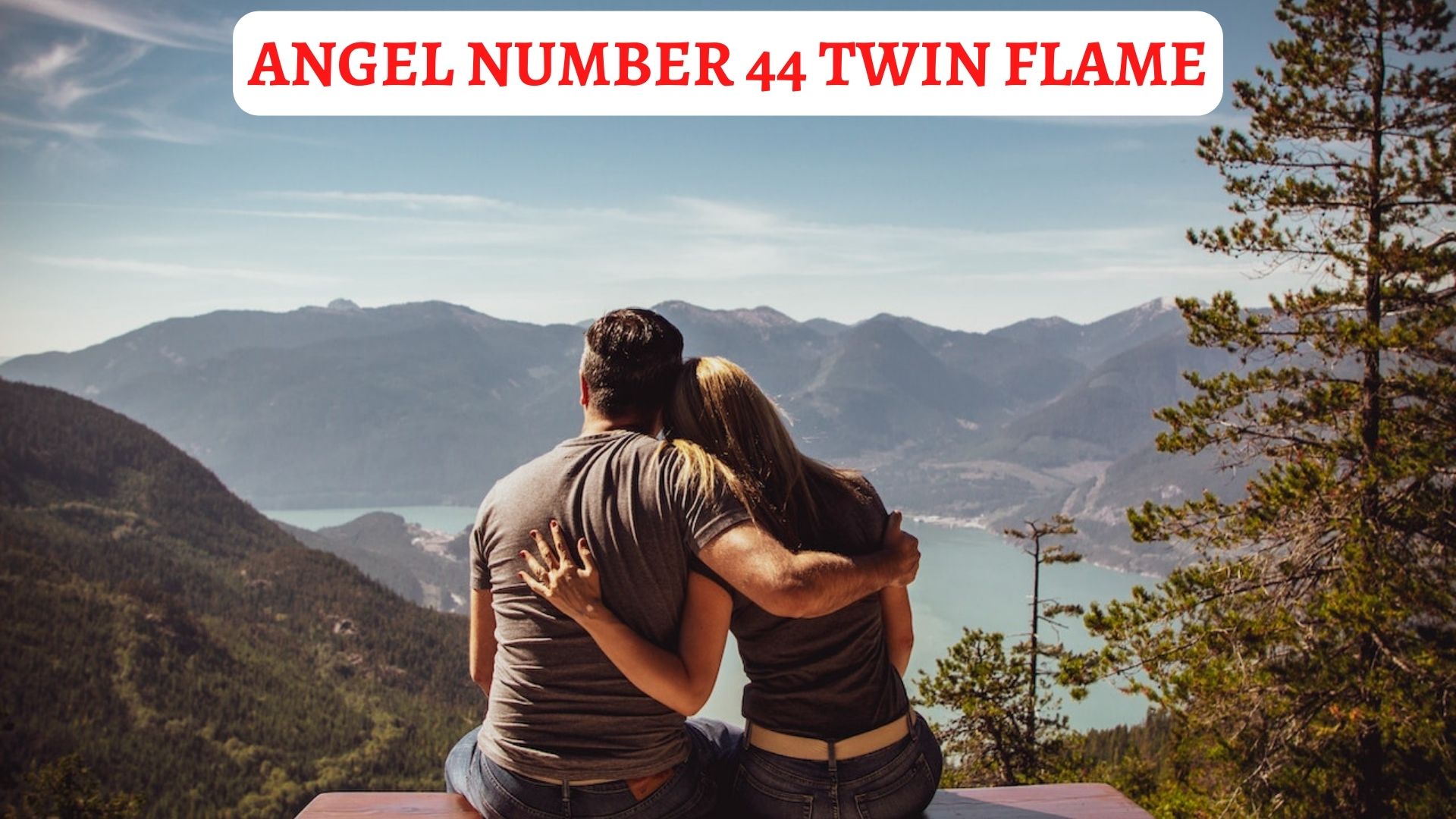 Angel Number 44 Twin Flame - Harmony And Stability