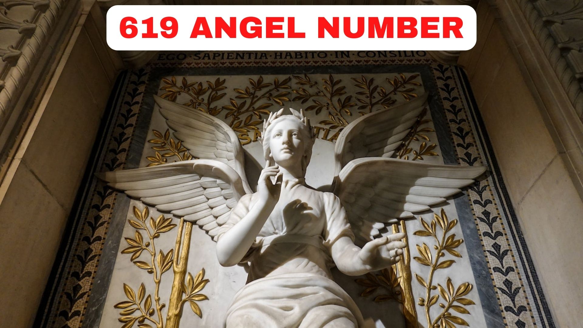 619 Angel Number - Planning For The Future