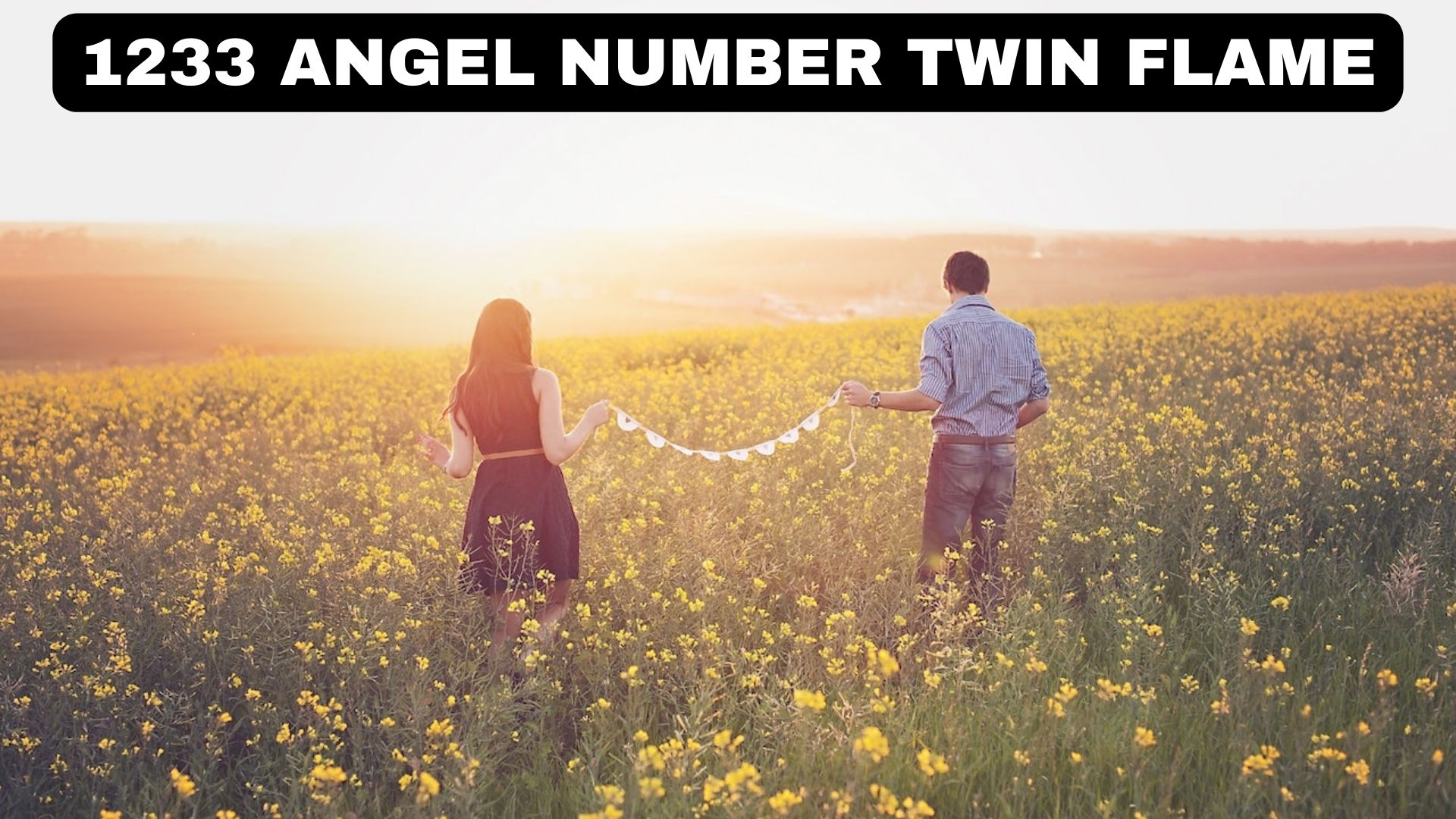 1233 Angel Number Twin Flame - Greatest Compatibility Between Two Souls