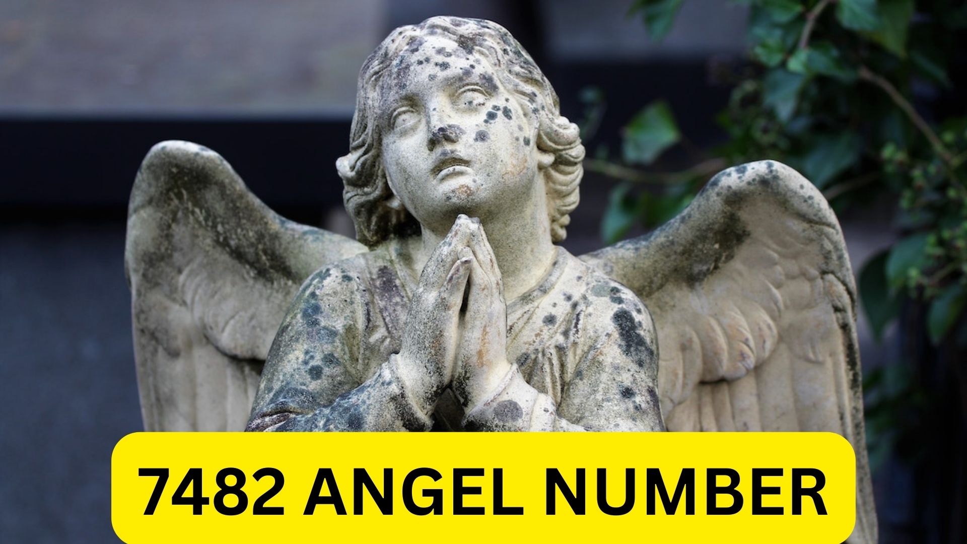 7482 Angel Number - Warning To Stop Being Too Greedy