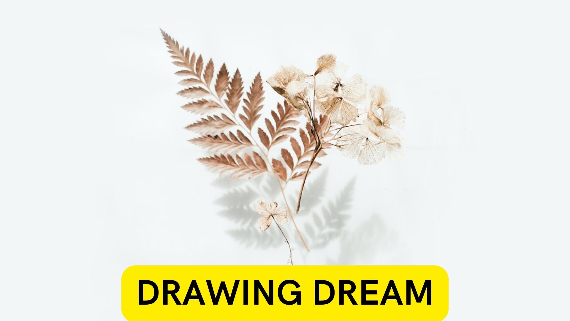 Drawing Dream - Meaning And Symbolism