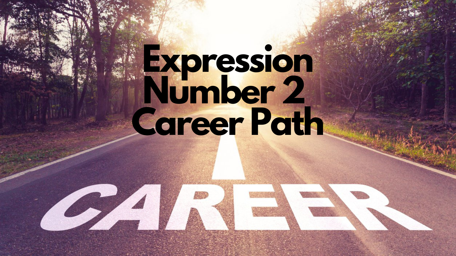 A road with word career written on it and words Expression Number 2 Career Path
