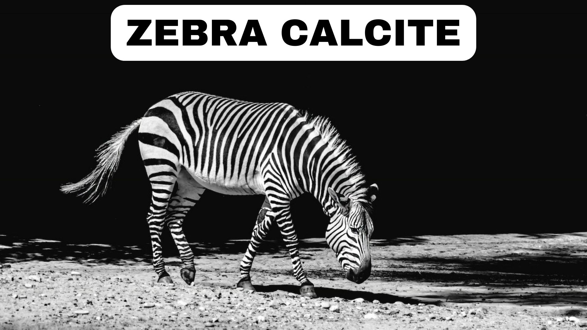 Zebra Calcite - Doubt And Uncertainty