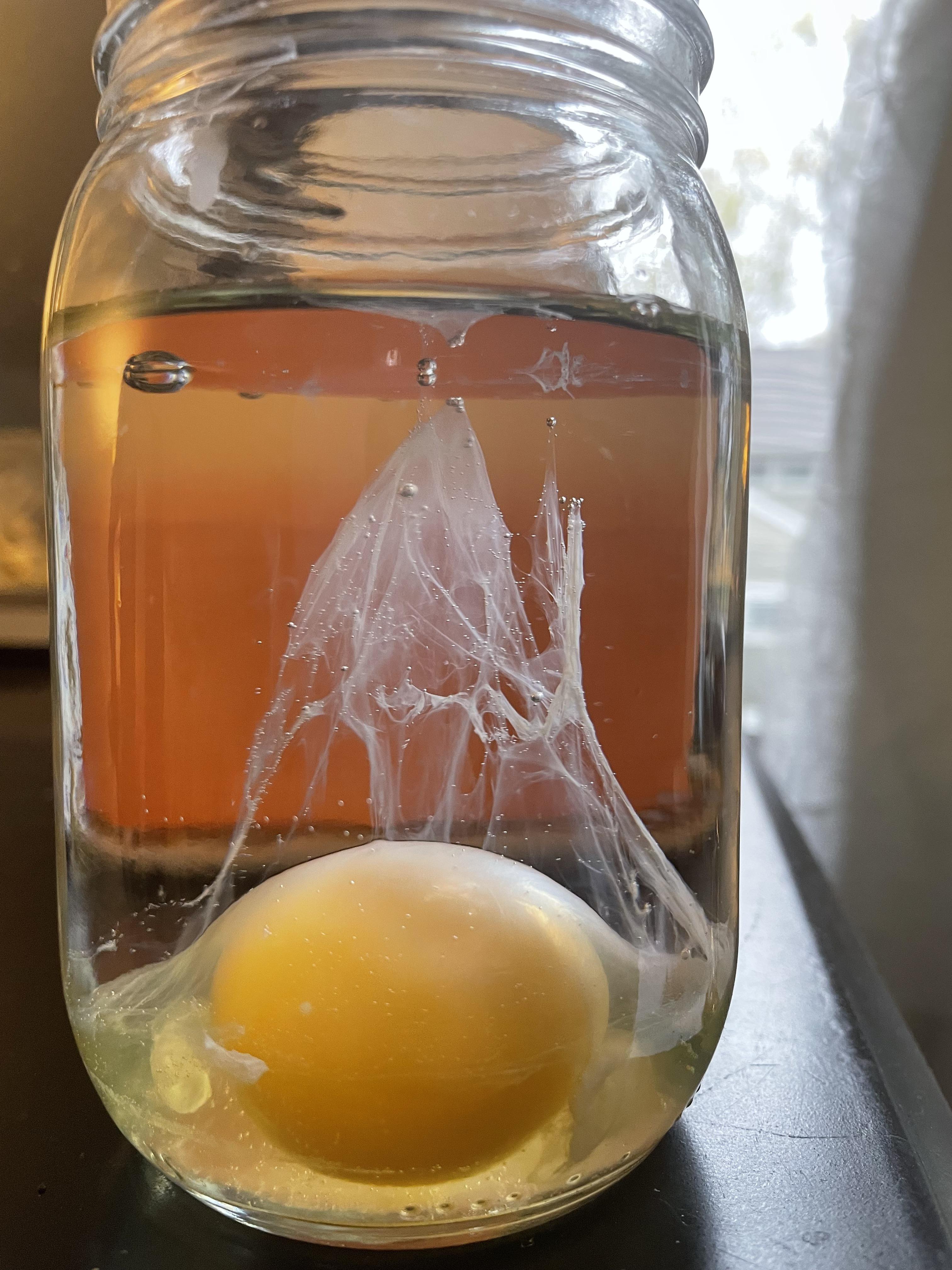 A raw egg inside a glass jar